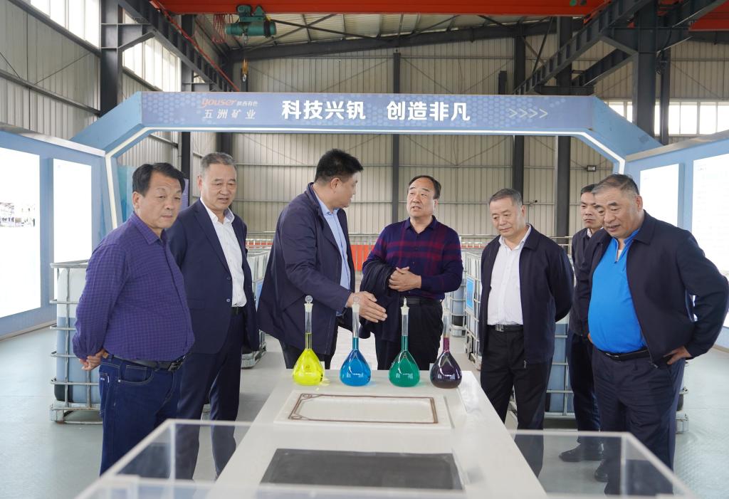 20250409-陜西有色金屬集團外部董事一行到五洲礦業(yè)公司調(diào)研 (2).jpg