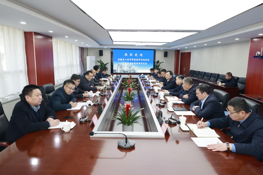 20240312-六安市常務(wù)副市長劉洪潔到公司考察交流 (1).JPG