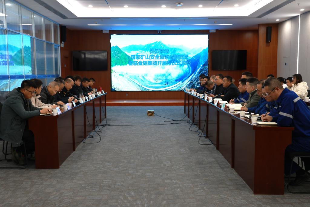 20240308-國家礦山安全監(jiān)察局陜西局到金堆礦區(qū)開展幫扶式安全監(jiān)察 (7).JPG