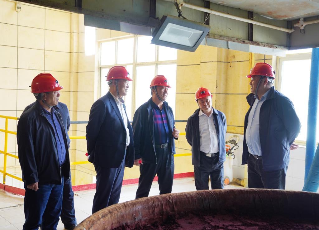 20250409-陜西有色金屬集團外部董事一行到五洲礦業(yè)公司調(diào)研 (1).jpg