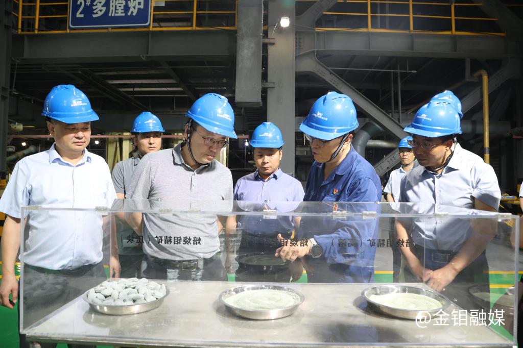 20240710-自然資源部礦業(yè)權管理司調(diào)研組一行來公司調(diào)研 (16).JPG