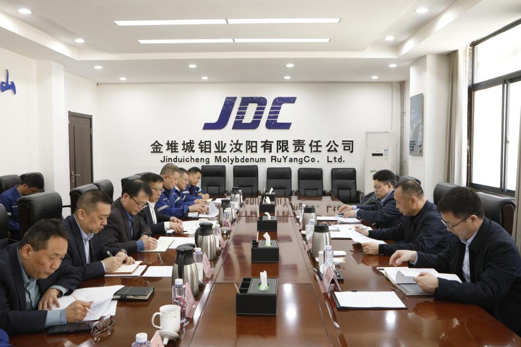 20250321-趙黎明一行到金鉬汝陽調(diào)研指導(dǎo)工作照片 (4).JPG