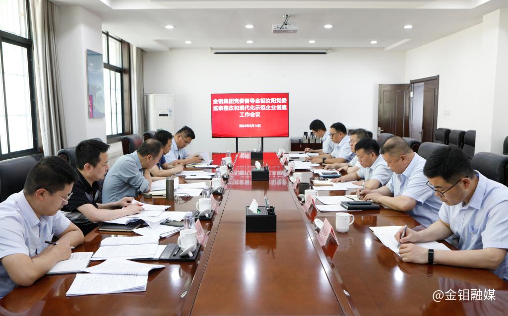 20240515-金鉬集團(tuán)黨委副書記朱凌云一行到金鉬汝陽督導(dǎo)巡察整改和現(xiàn)代化示范企業(yè)創(chuàng)建工作照片.jpg