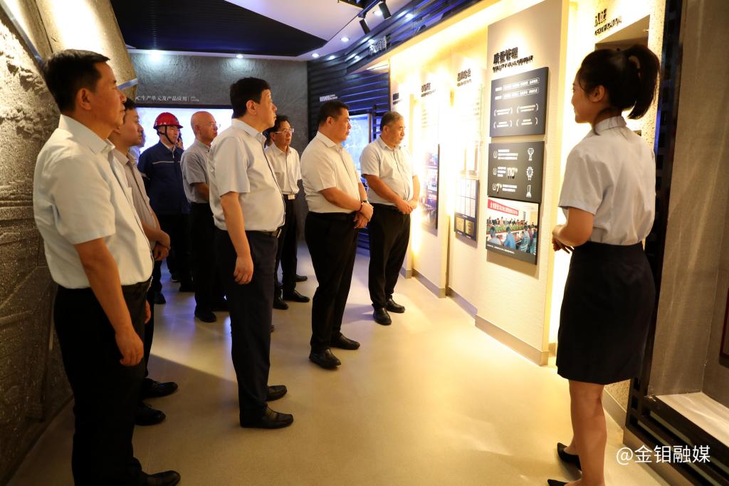 20240620-省決咨委來西安工業(yè)園區(qū)調(diào)研 (2).jpg