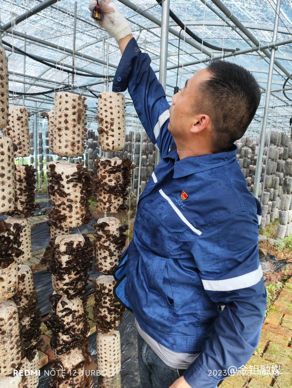 20230801-駐村辦實(shí)事 錦旗表謝意 (7).jpg