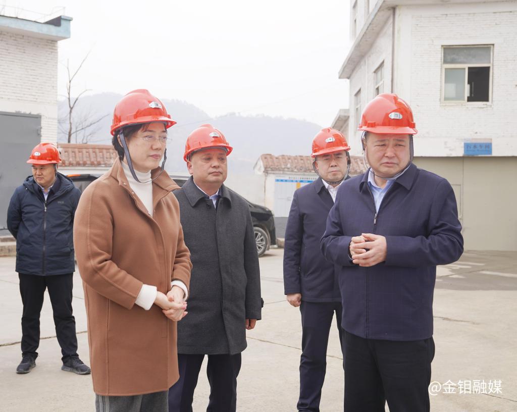 20240306-商洛市委書(shū)記趙璟一行到五洲礦業(yè)調(diào)研.jpg